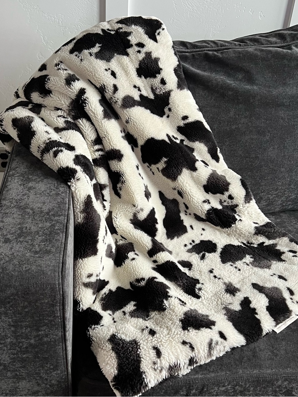 Minky Couture Urban Cowz Blanket- Adult Size